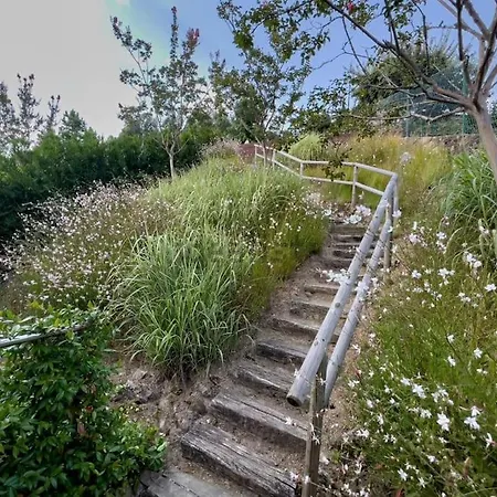 Mirador De Willa